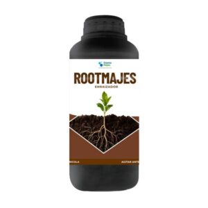 Rootmajes
